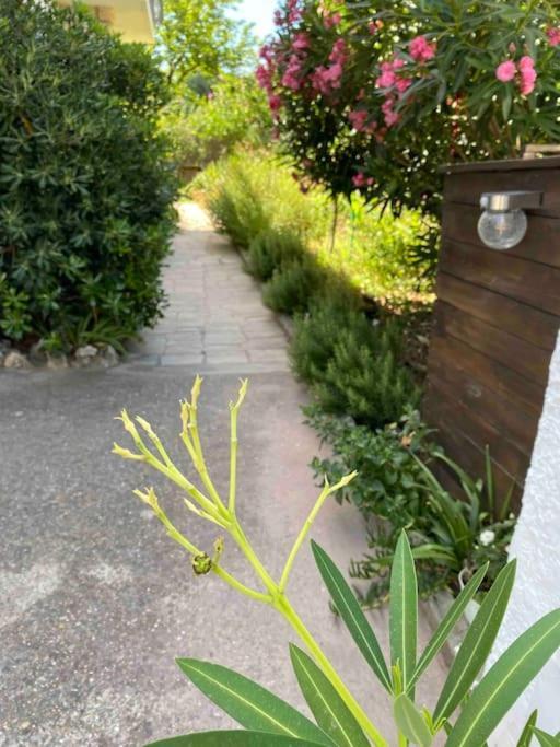 Une Pause Au Paradis Sorgues Exteriör bild